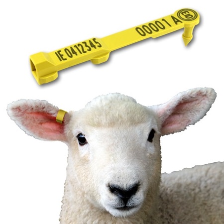 Picture for category Sheep Tags